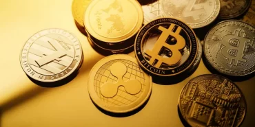 Altcoin Yatırım Uzman Rehberi