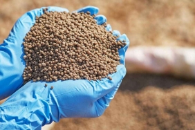 Üretmek pahalıya gelince gübre ihracat rekoru kırıldı bakın hangi ülkeden aldık