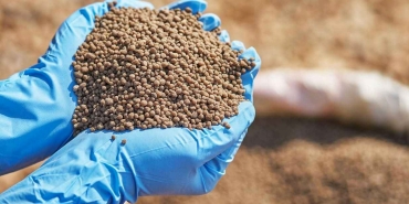 Üretmek pahalıya gelince gübre ihracat rekoru kırıldı bakın hangi ülkeden aldık